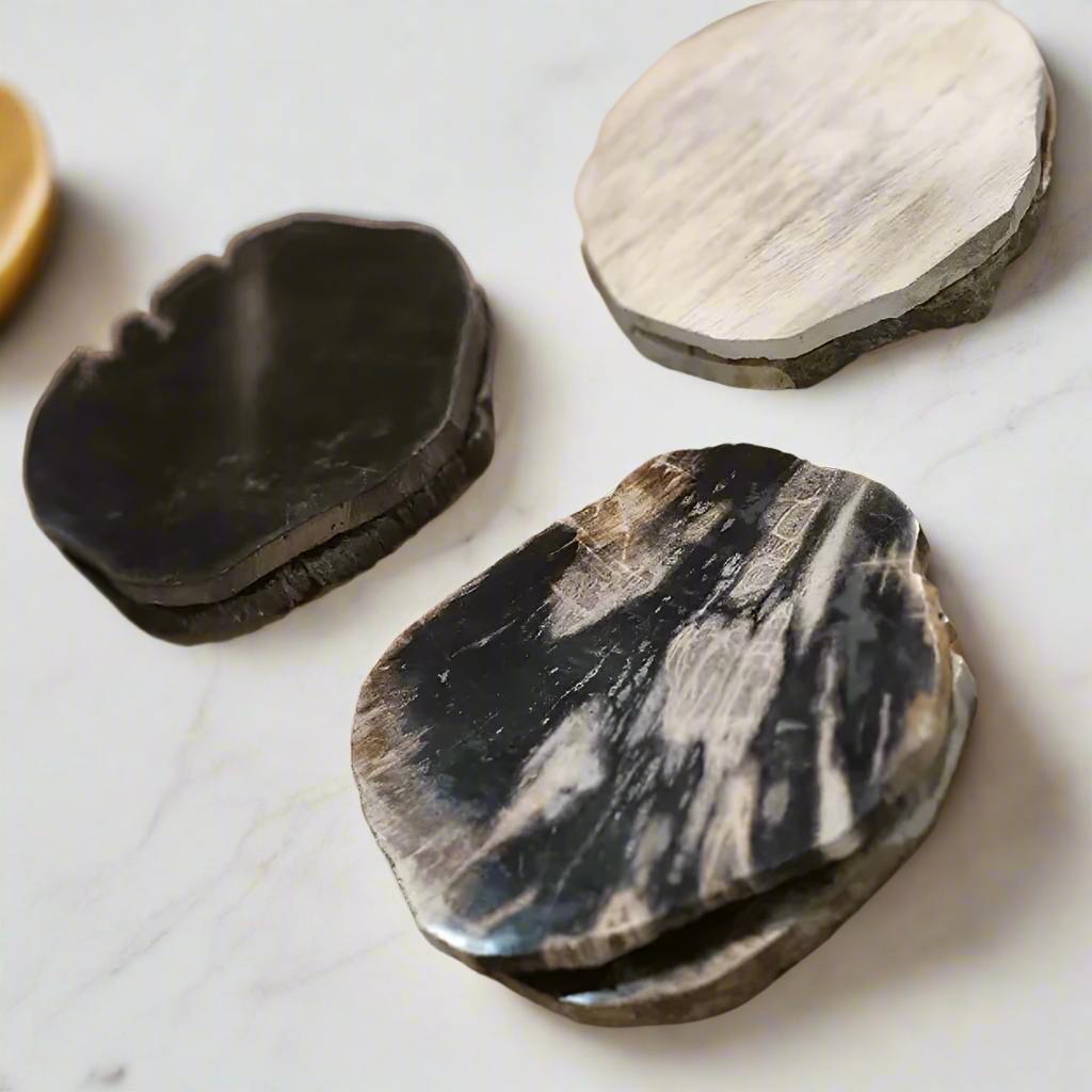 Petrified Wood Coaster