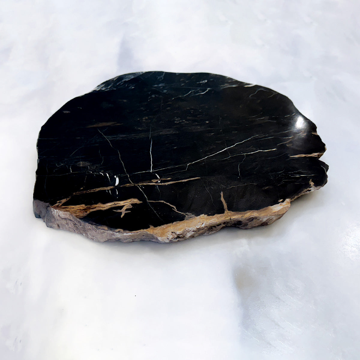 12" Petrified Wood Charcuterie Board