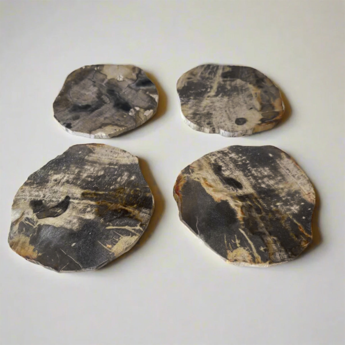 Set Of Four Petrified Wood Coasters