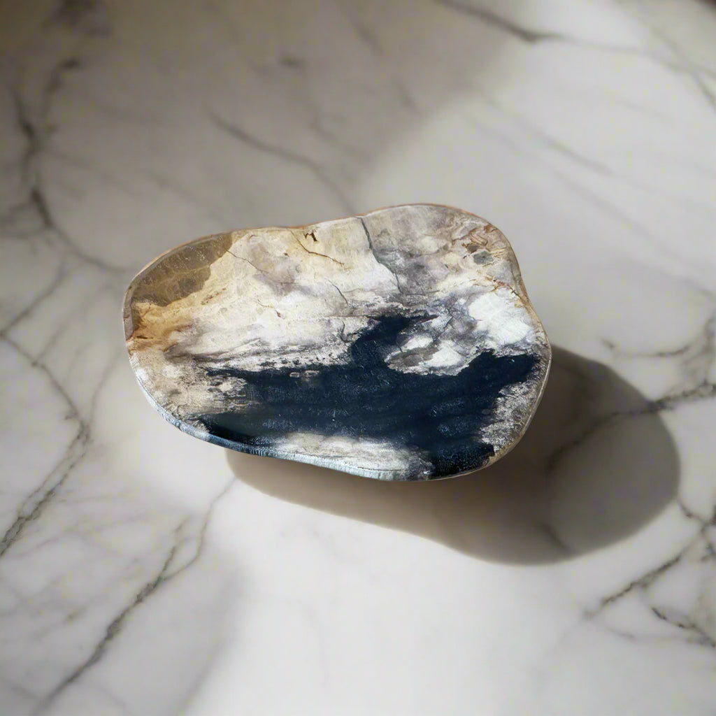 Petrified Wood Catchall