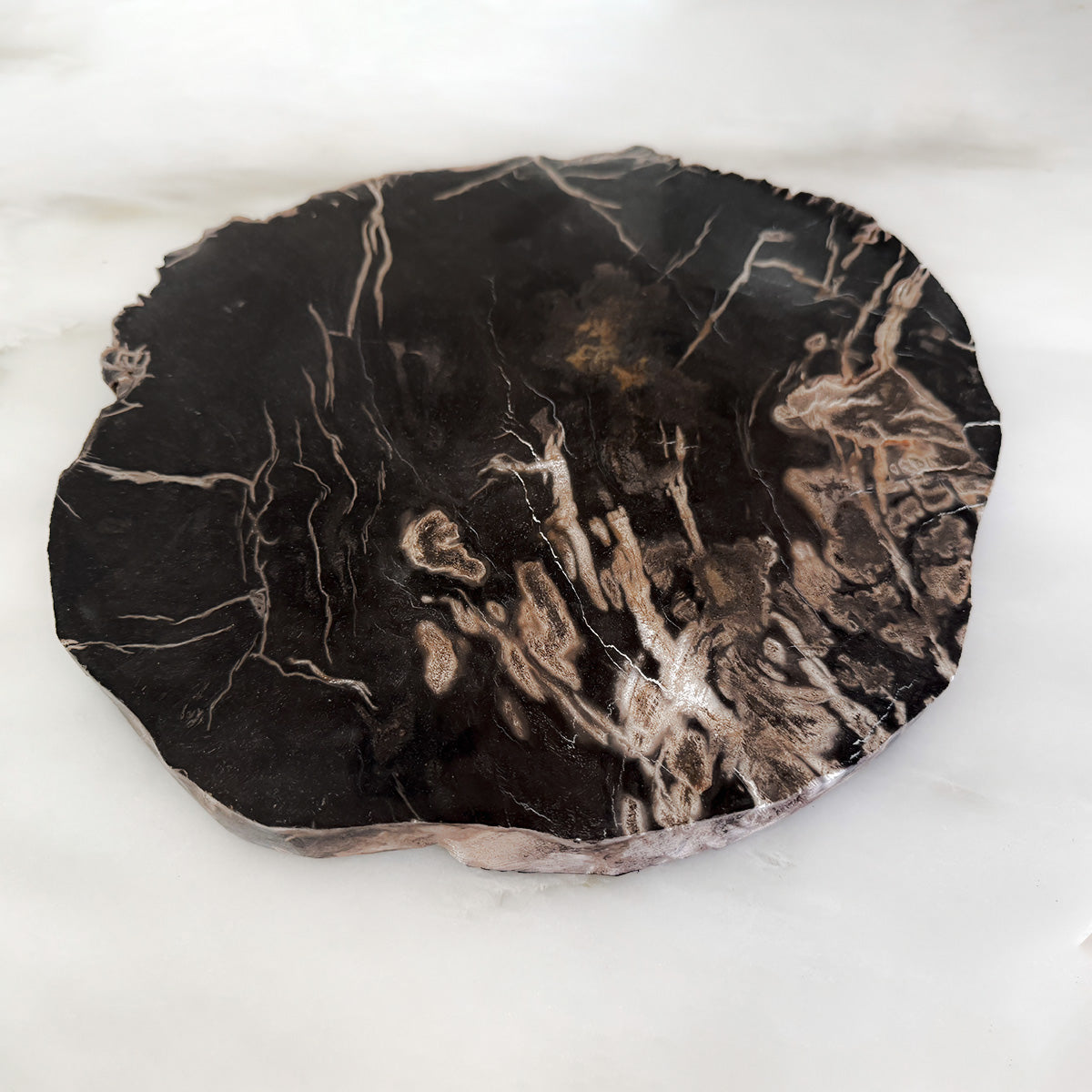 12" Petrified Wood Charcuterie Board