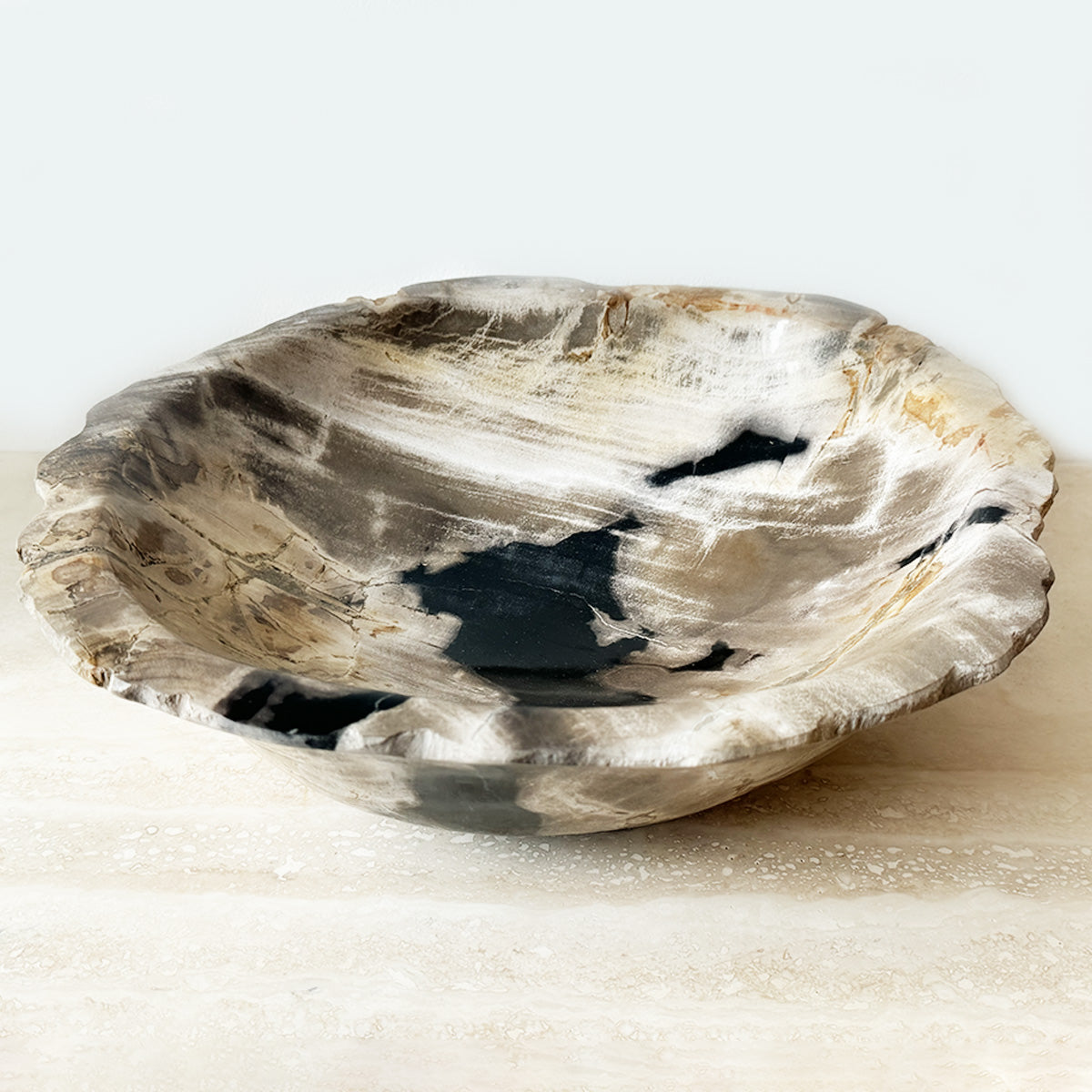 12" Petrified Wood Bowl