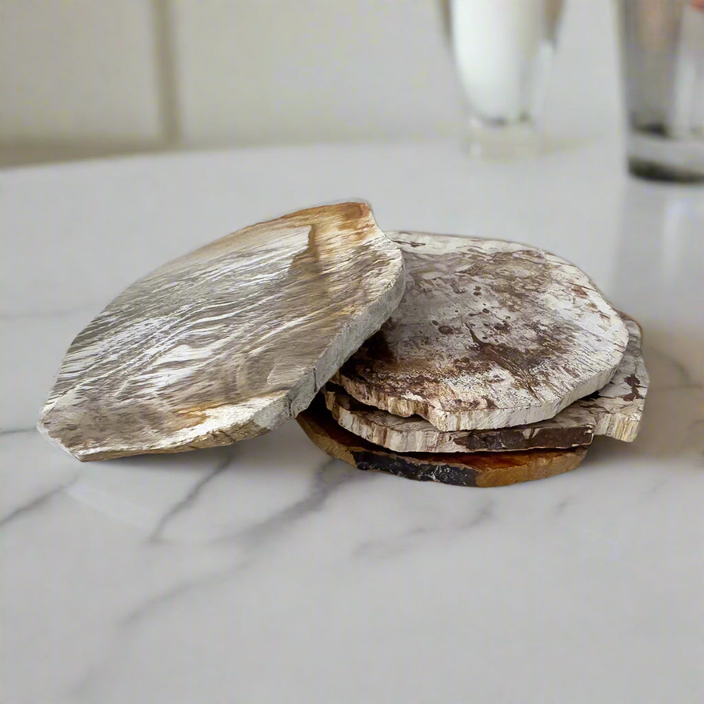 Set Of Four Petrified Wood Coasters