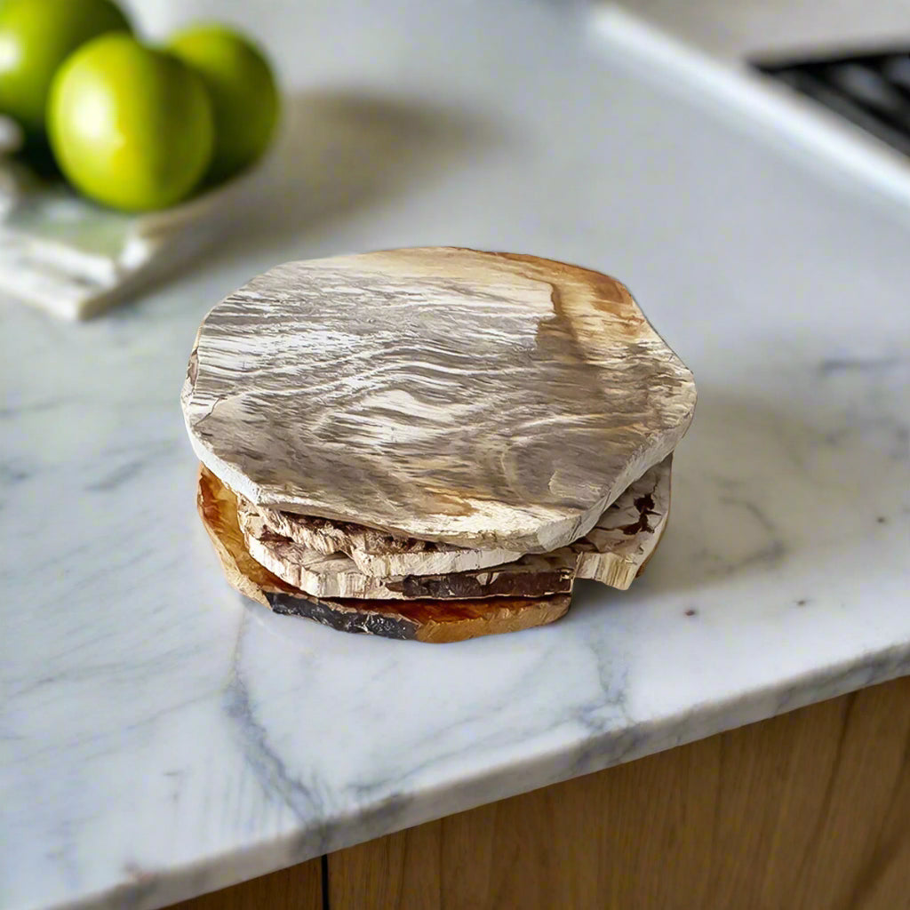 Set Of Four Petrified Wood Coasters